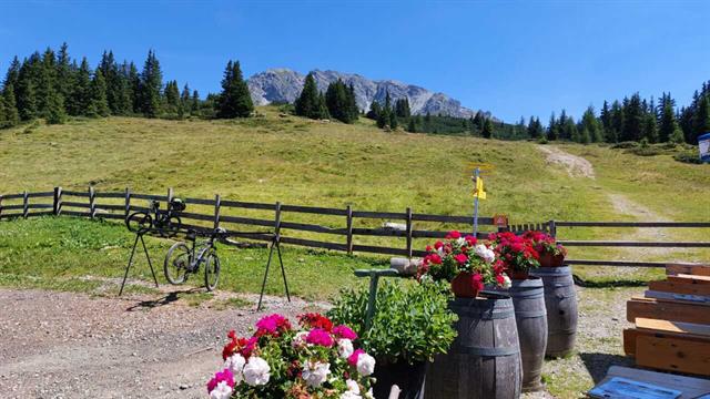 Ein Feld mit Blumen und Fahrrädern