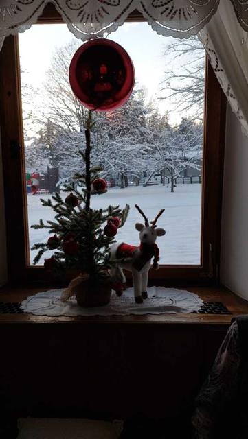 Ein Weihnachtsbaum im Fenster