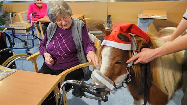 eine Person, die mit einem Pferd an einem Schreibtisch sitzt und eine Weihnachtsmütze trägt